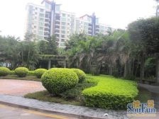 精装3房2卫,自住的,总体低适合刚需,业主诚心出售