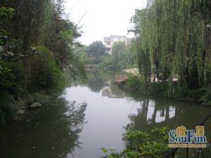 君临天下4室2厅东南