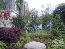 金科品质别墅 近虎溪河畔环境好 适宜居住