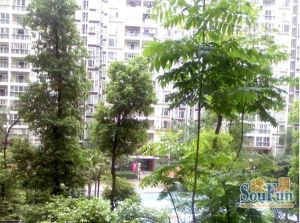 花样年花郡 2室1厅 东北 北