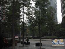 侨苑世家 2室1厅 南 北