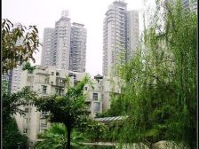 区府 晋愉绿岛云间三房86万