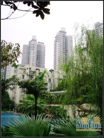 晋愉绿岛云间