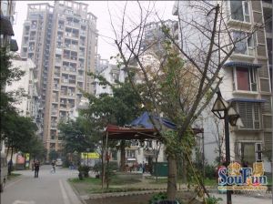 金泉阳光雅新苑2室1厅西南