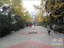 长富新城 1室0厅 西北