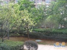 楼层好,四面采光,业主急售,看房方便。