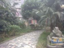 经典跃层,采光好户型方正,近公交地铁,住家精装