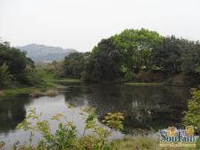 低总价 交通便利 业主诚意出售