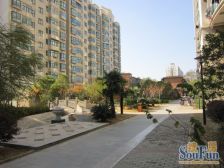 洪都大院二区 南北通透,采光好 近地铁 视野好,诚心出售