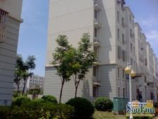 龚路新城3室东朝向290.00万元/套出售