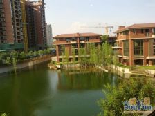 联排别墅 满五唯一无欠款 户型方正 装修保养好