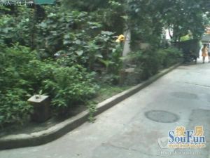铁路新村1室1厅东南
