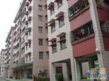 凤凰城双拼别墅,共3层半,带80平方院子,5房,带租约