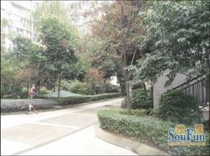 建川梦追湾公馆1室1厅东南