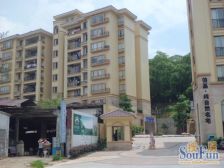 大良南区电梯高层,大三房双卫生间,格局方正视野开阔