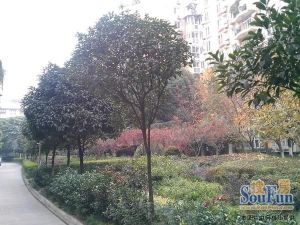 川大花园(南园)3室2厅南