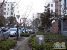 外高桥·潼港一村·3室·1厅