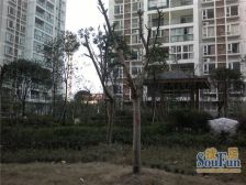 美丽南庭 3室2厅 南