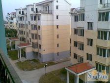 上海新城 南北通透,采光好 视野好,诚心出售