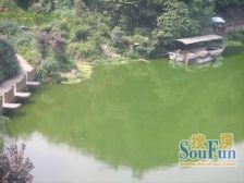 两房单卫的户型,视野没得遮挡,基装保养得还可以