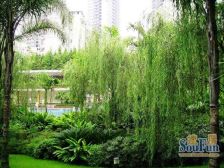 区府 晋愉绿岛云间三房72万