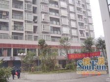 铂金云鼎 经典户型 2房 带外阳台 20楼 可看房