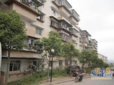 鸳鸯 花朝小区三房58万