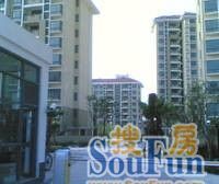 四轨交汇+繁华地段+动迁满五+房东诚售
