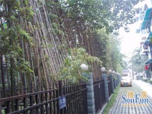 经典魅力 4室2厅 南 北