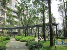 重庆东站 同景公园旁 洋房顶跃 视野开阔 近轻轨