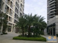 新装修没住过 有平台花园 度假式在繁华中享受宁静生活