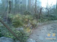 鲁能星城六街区,有巴初,近公园近轻轨