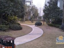 龙头寺,成熟地段出行方便,精装修,近公园,三轨道
