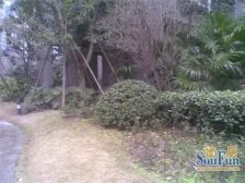 公园旁,次新小区,装修三房,拎包入住,户型方正