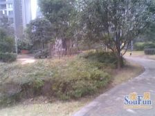 星城汇朝南 看公园 毛坯 巴 初