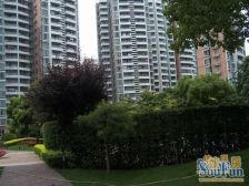 天安花园6室南朝向2248.00万元/套出售