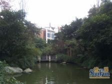 鹭岛国际一二期 3室1厅 东南