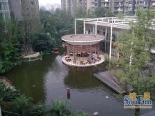 鹭岛国际一二期 4室2厅 东南