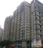 星城银座 1室1厅 东