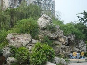 鱼凫阳光 3室1厅 东南 西南