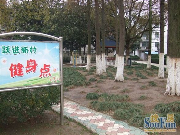 跃进新村