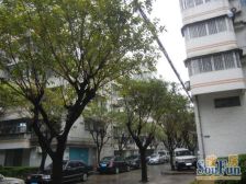 05年楼龄,低楼层小三房,满5年