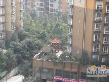 高新区 百康年奥运光年二房55万