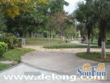 近地铁7号线锦龙站 户型方正实用 景观好