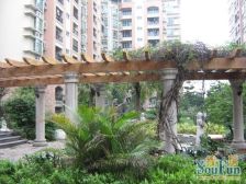 诚意出售禅城丽景花园精装一房一厅电梯房湾华A出口站