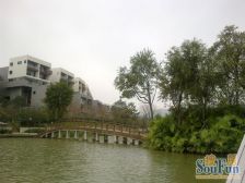 万科棠樾七期 五层合院别墅 人车分流 带车位 地势高