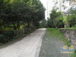 皇后国际2室1厅南