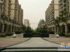 中间楼层业主自住双南两房小区中间位置