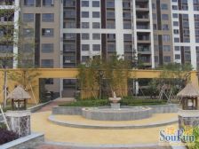 地标大厦 6室1厅 南