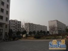 动迁税少,毛坯易装修,房东诚意出售价格好谈!